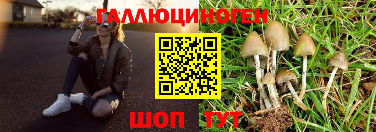 Галлюциногенные грибы Cubensis Лобня