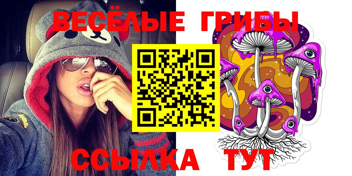 Галлюциногенные грибы прущие грибы  Вход с VPN  Лобня 