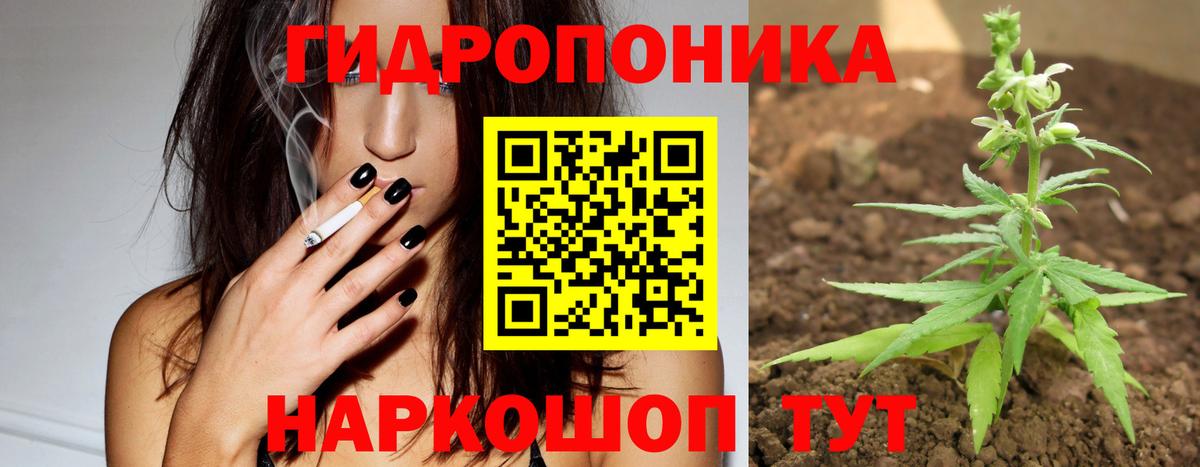 Бошки Шишки Amnesia  Бошки марихуана семена  Вход с VPN  Лобня 